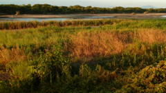 P1000441