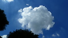 P1000456