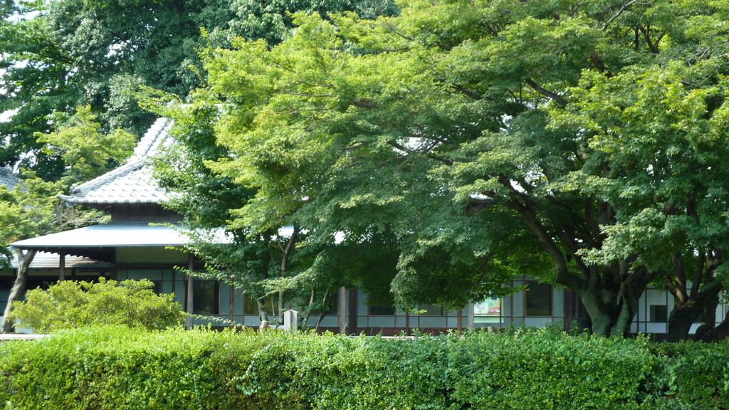 P1000486
