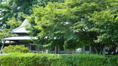 P1000486