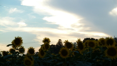 P1000410