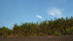 P1000689