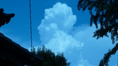 P1000352