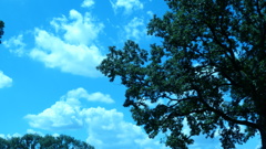 P1000373