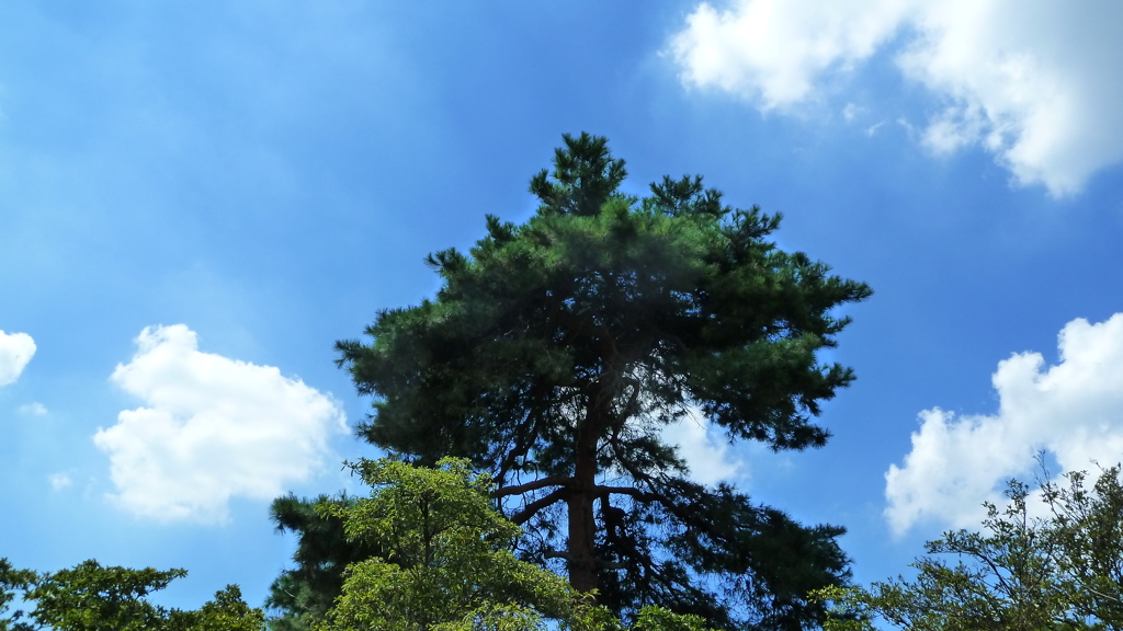 P1000458