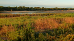 P1000440