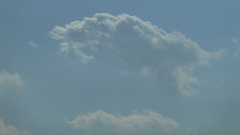P1000399