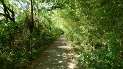 P1000389