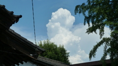 P1000350
