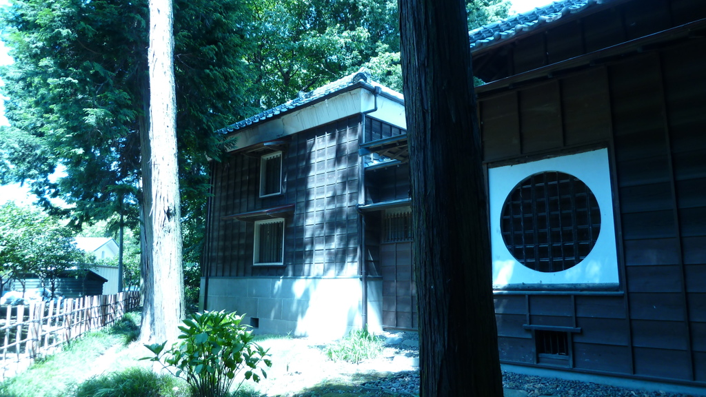 P1000471