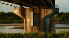 P1000436