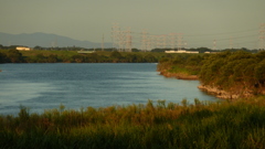 P1000438