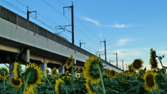 P1000413