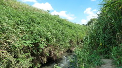 P1000361
