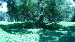 P1000371