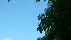P1000377