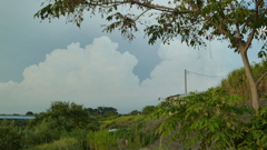 P1000694