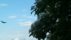 P1000378