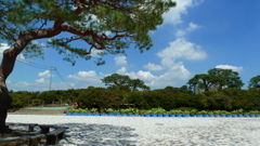 P1000460