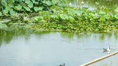 P1000494