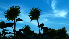 P1000419