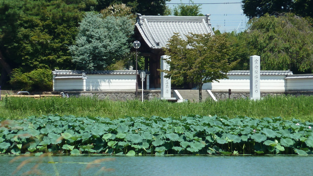 P1000449