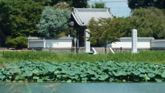 P1000449