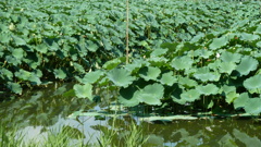 P1000497