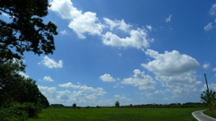 P1000356