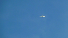 P1000443