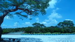 P1000461