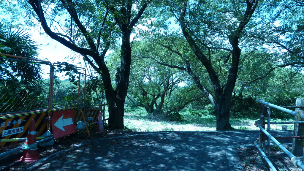 P1000364