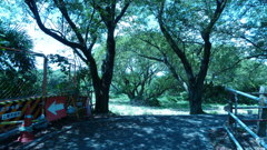 P1000364