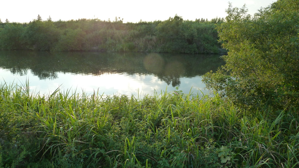 P1000688