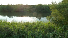P1000688