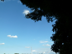 P1000379