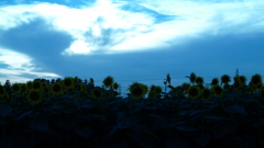 P1000409
