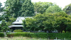 P1000485