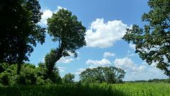 P1000366