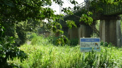 P1000394
