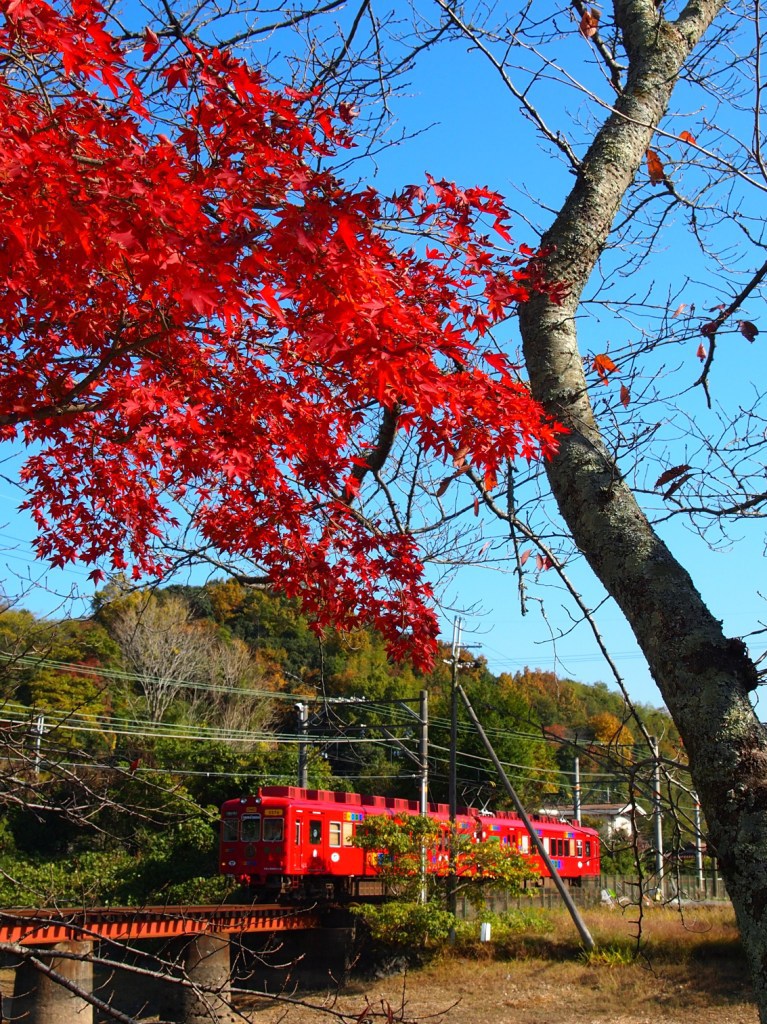貴志川線秋景色（２）