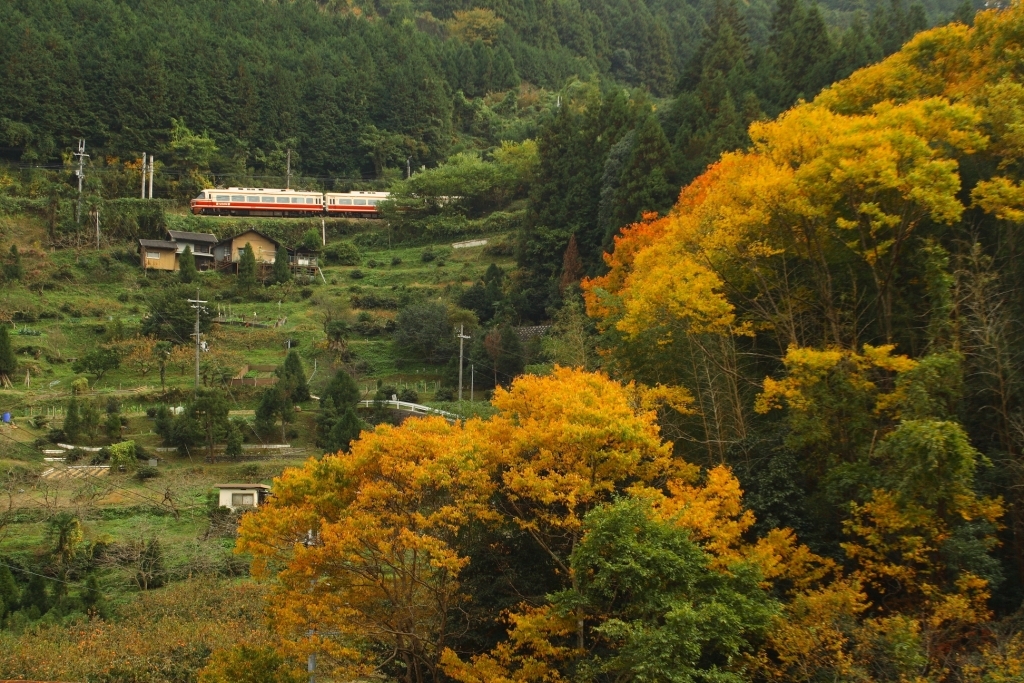 山岳列車（４）－紅葉満開