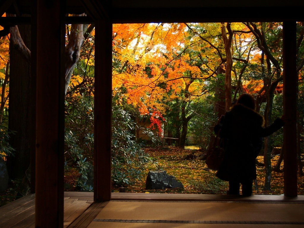 紅葉の庭園