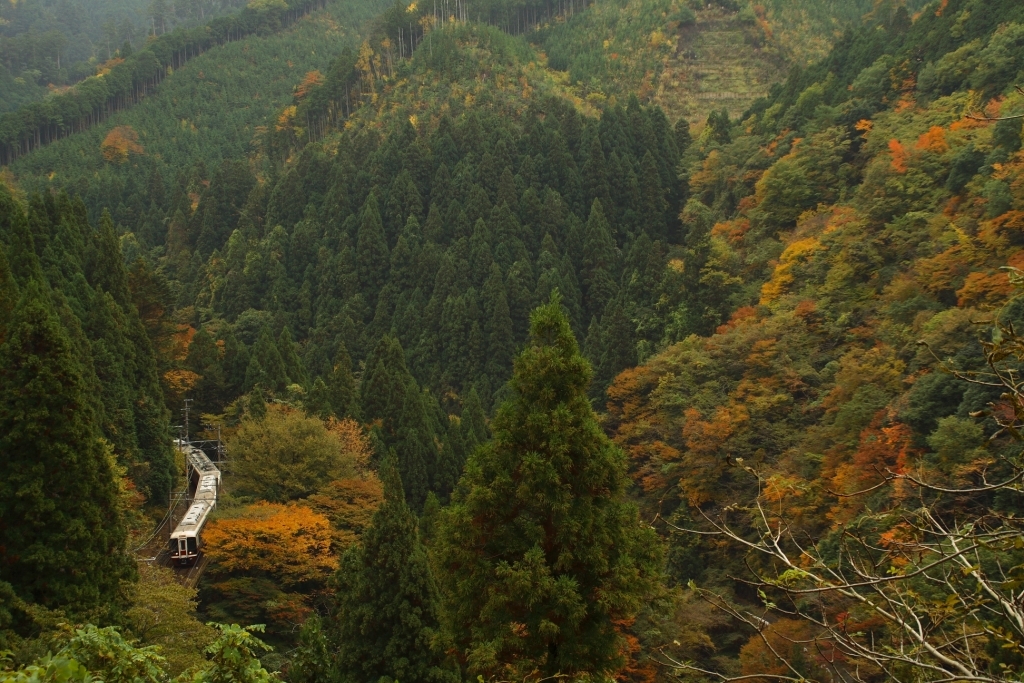 山岳列車（３）－深山をゆく