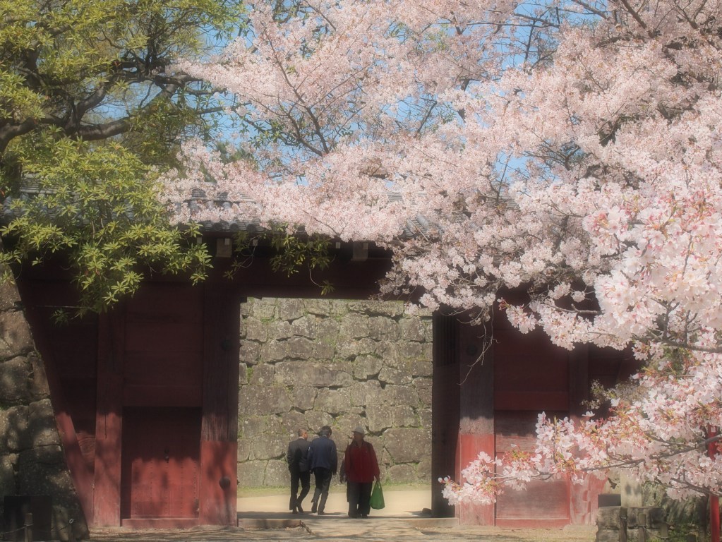 最後の花道