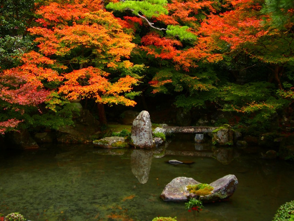 紅葉の庭園（２）