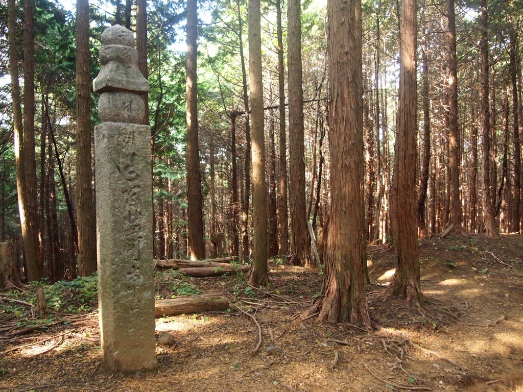 巡礼の道（７）　別れ道