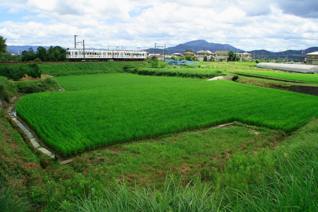 田園を行く