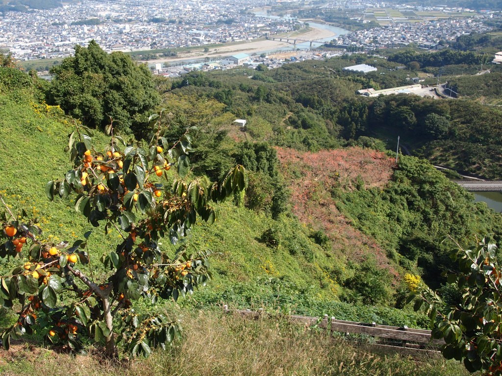 巡礼の道（４）　九度山遠景