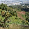 巡礼の道（４）　九度山遠景